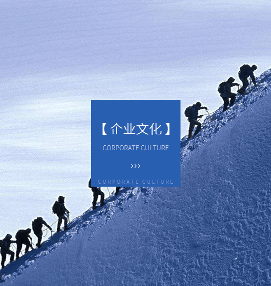 星芒網(wǎng)絡(luò)科技（西安）有限公司